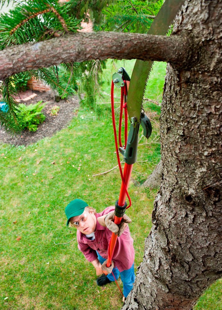 Tree-Trimming-Pole-Extension-Trimmer-Cutting-Colorado-Springs