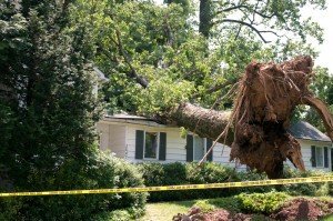 tree-falling-on-house